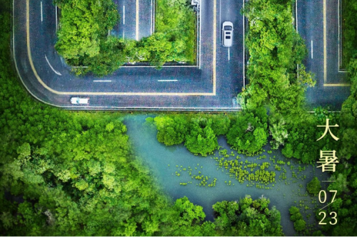 大暑安康 | 凯发一触即发绿色算力为您稳定护航