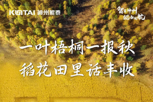 立秋安康 | 凯发一触即发伴您闻蝉辞暑枕清凉