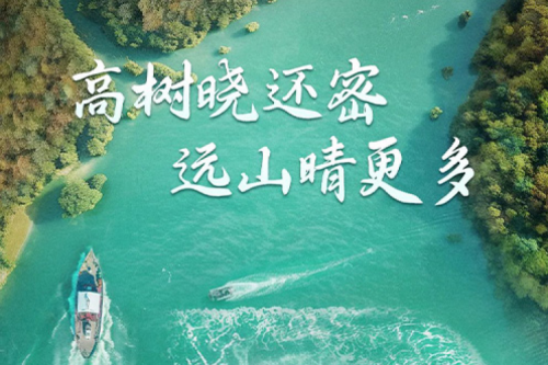 处暑安康 | 凯发一触即发与您共享风静草虫吟