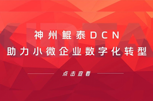 凯发一触即发DCN助力小微企业数字化转型